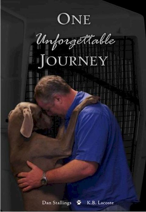 One Unforgettable Journey(Kobo/電子書)