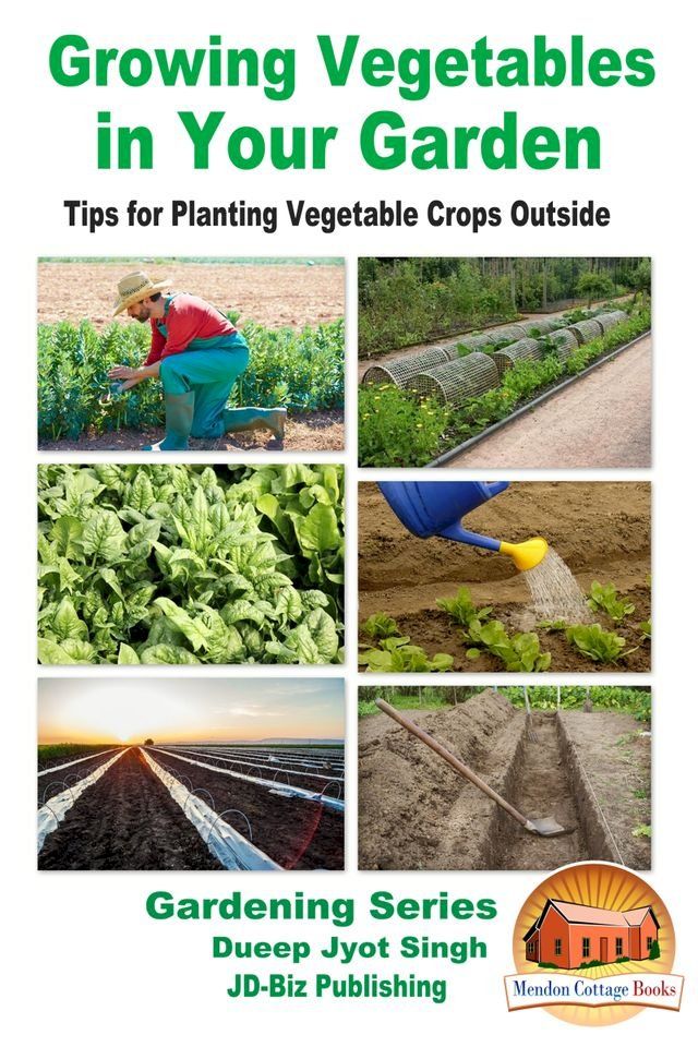  Growing Vegetables in Your Garden: Tips for Planting Vegetable Crops Outside(Kobo/電子書)