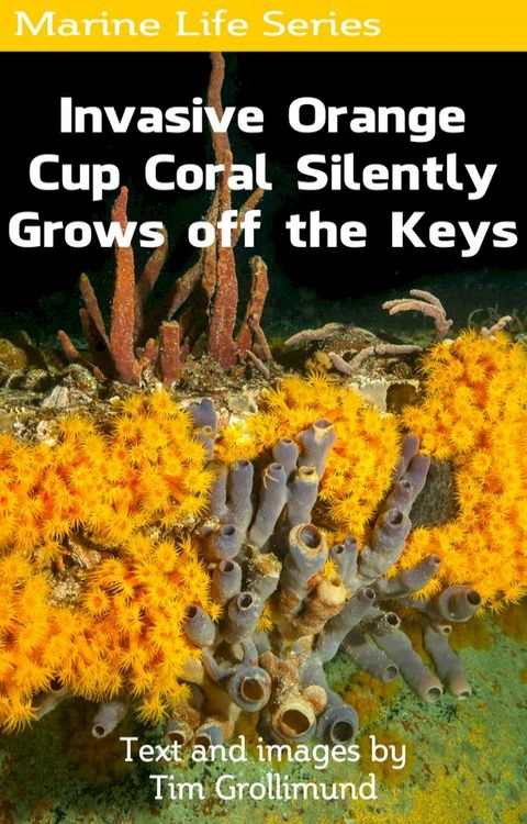 Invasive Orange Cup Coral Silently Grows off the Keys(Kobo/電子書)