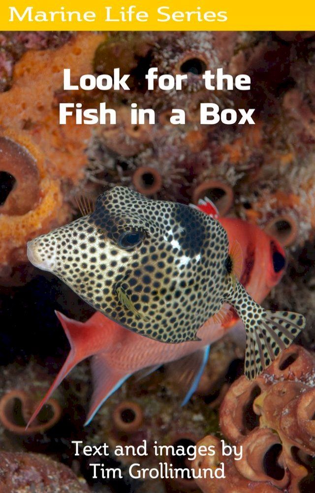  Look for the Fish in a Box(Kobo/電子書)