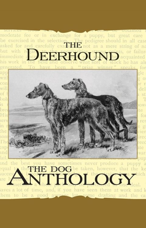 The Deerhound - A Dog Anthology (A Vintage Dog Books Breed Classic)(Kobo/電子書)