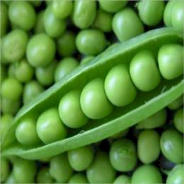  A Crash Course on How to Grow Peas(Kobo/電子書)