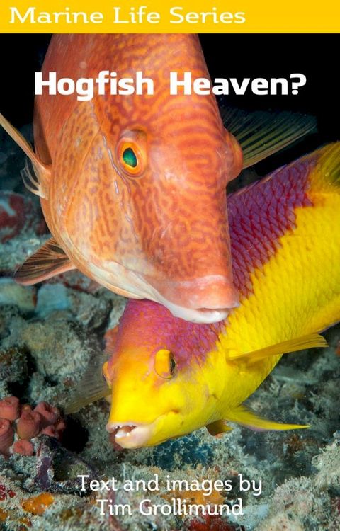 Hogfish Heaven?(Kobo/電子書)