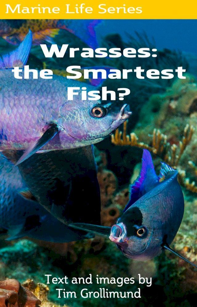  Wrasses: the Smartest Fish?(Kobo/電子書)