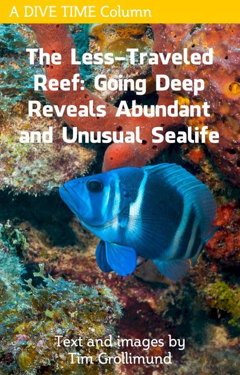 The Less Traveled Reef: Going Deep Reveals Abundant and Unusual Sealife(Kobo/電子書)