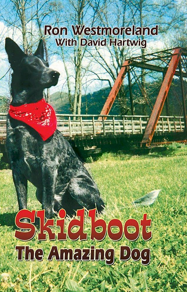  Skidboot(Kobo/電子書)