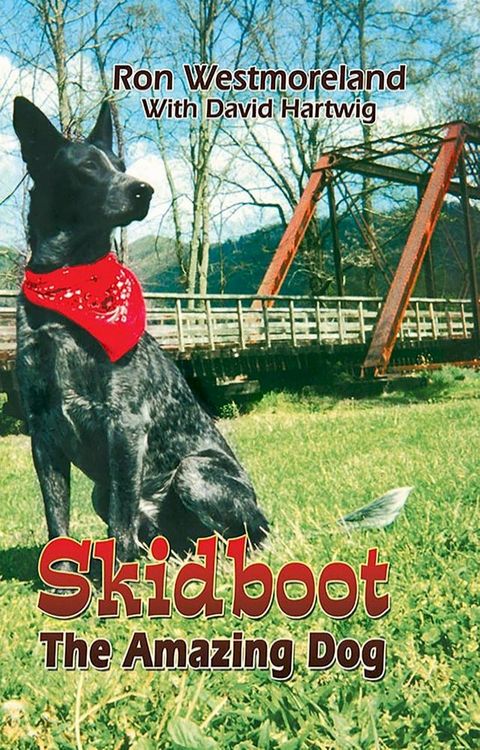 Skidboot(Kobo/電子書)