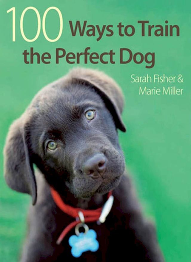  100 Ways to Train the Perfect Dog(Kobo/電子書)