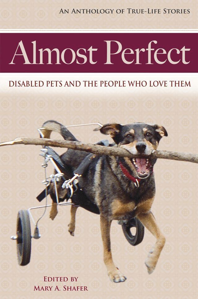  Almost Perfect(Kobo/電子書)