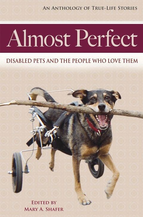 Almost Perfect(Kobo/電子書)