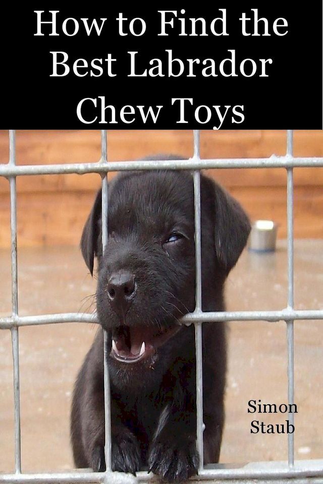  How to Find the Best Labrador Chew Toys(Kobo/電子書)