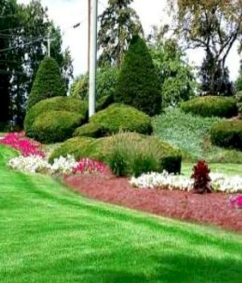 Do It Yourself Landscaping: Simple Fixes That Will Transform Your Yard(Kobo/電子書)