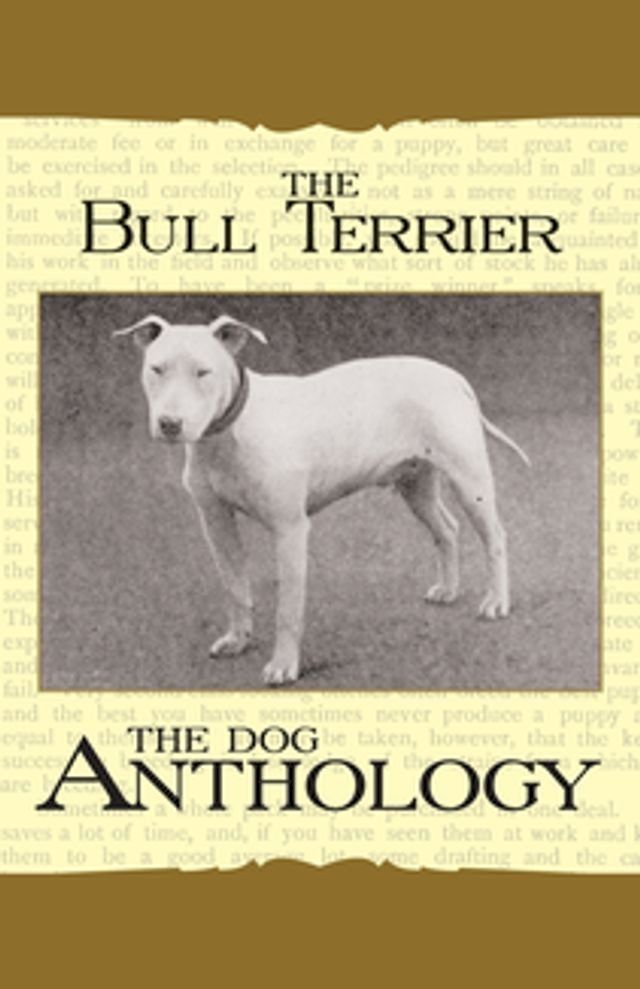  The Bull Terrier - A Dog Anthology (A Vintage Dog Books Breed Classic)(Kobo/電子書)