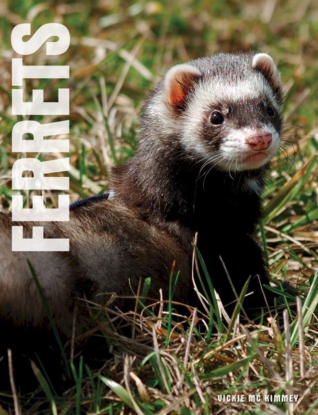  Your Ferret(Kobo/電子書)