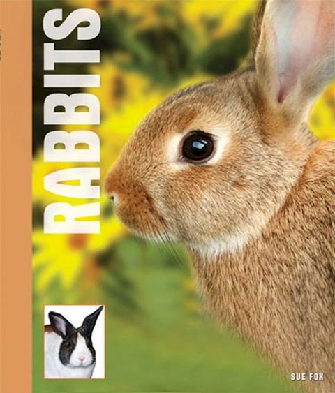 Your Rabbit(Kobo/電子書)