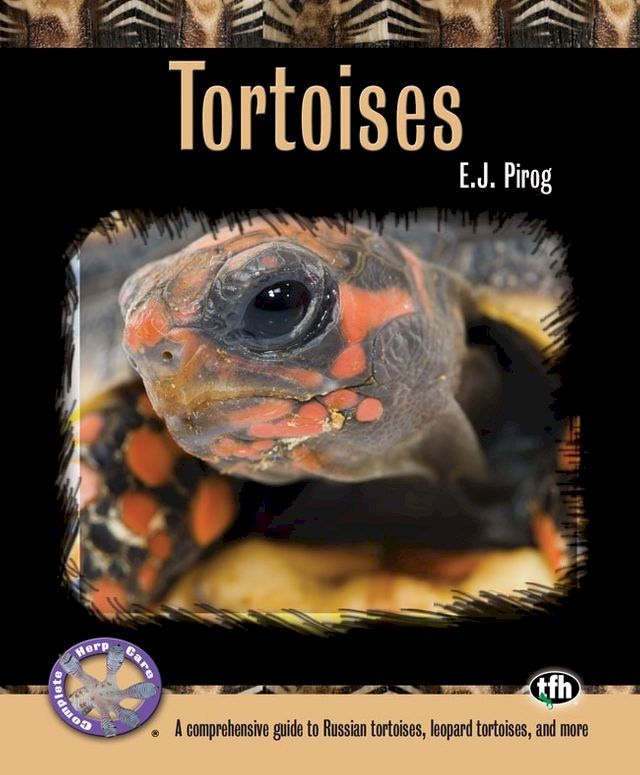  Tortoises(Kobo/電子書)