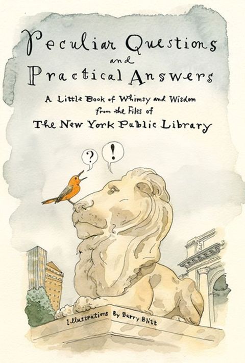 Peculiar Questions and Practical Answers(Kobo/電子書)