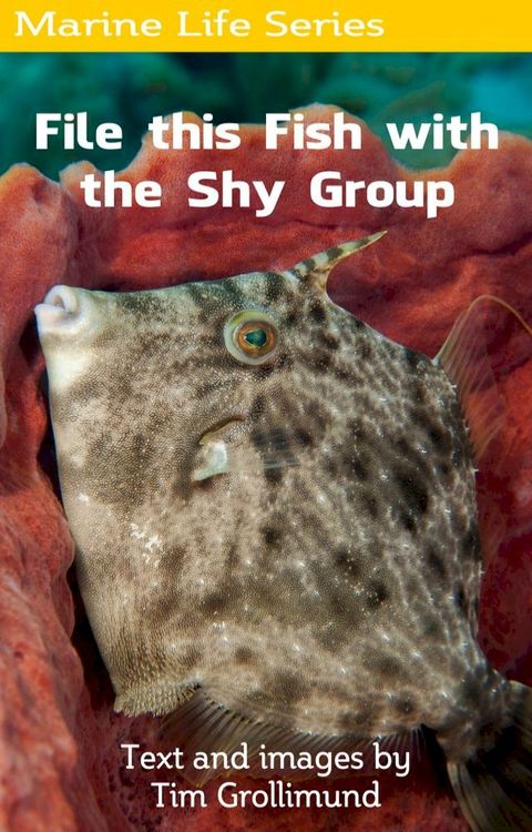 File this Fish with the Shy Group(Kobo/電子書)