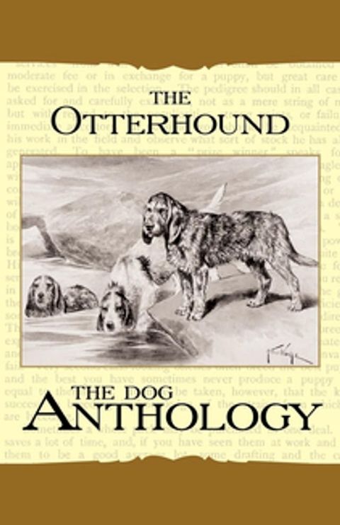 The Otterhound - A Dog Anthology (A Vintage Dog Books Breed Classic)(Kobo/電子書)