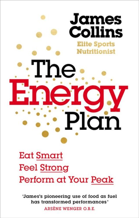 The Energy Plan(Kobo/電子書)