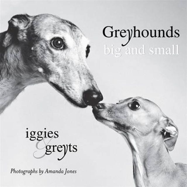  Greyhounds Big and Small(Kobo/電子書)