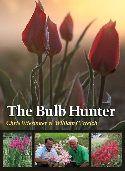 The Bulb Hunter(Kobo/電子書)