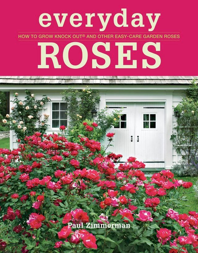  Everyday Roses(Kobo/電子書)