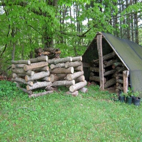 The Mushroom Hut @ Fox Farms...a collection of workshops(Kobo/電子書)