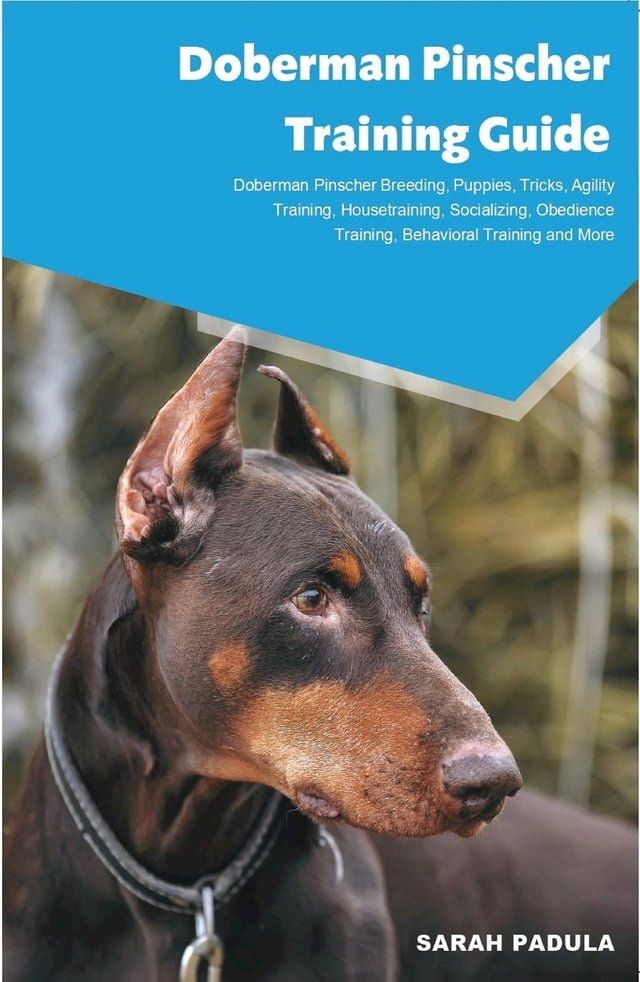  Doberman Pinscher Training Guide Doberman Pinscher Breeding, Puppies, Tricks, Agility Training, Housetraining, Socializing, Obedience Training, Behavioral Training and More(Kobo/電子書)