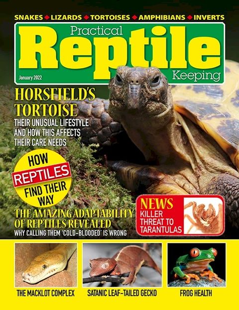 Practical Reptile Keeping - January 2022(Kobo/電子書)