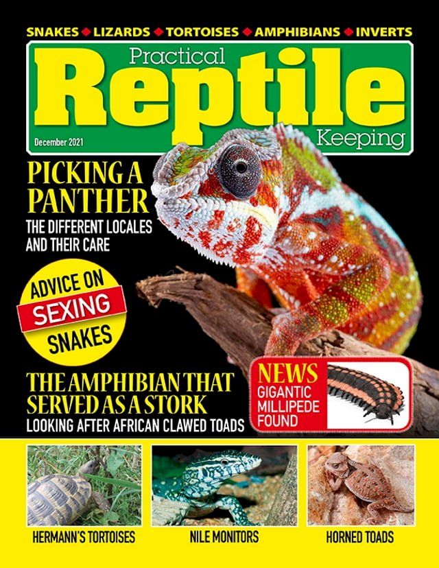  Practical Reptile Keeping - December 2021(Kobo/電子書)