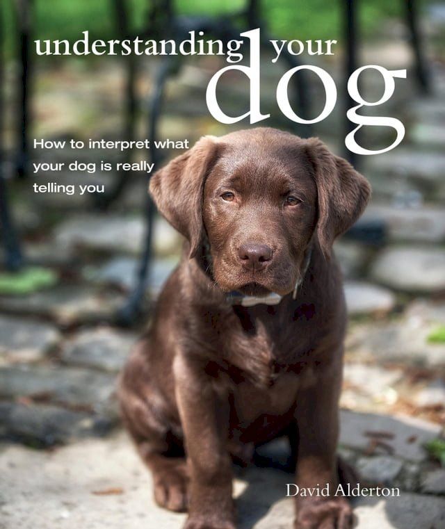  Understanding Your Dog(Kobo/電子書)