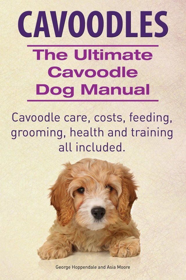  Cavoodles. Ultimate Cavoodle Dog Manual. Cavoodle care, costs, feeding, grooming, health and training all included.(Kobo/電子書)