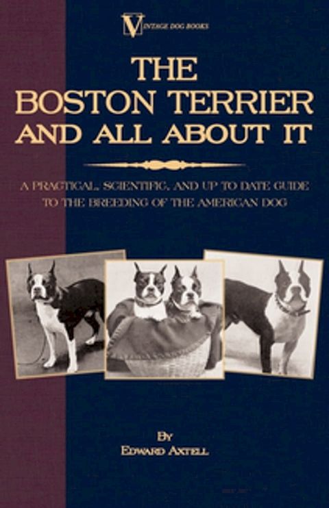 The Boston Terrier and All about It: A Practical, Scientific, and Up to Date Guide to the Breeding of the American Dog(Kobo/電子書)