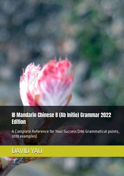 IB Mandarin Chinese B (Ab Initio) Grammar 2022 Edition 汉语水平考试中级语法(Kobo/電子書)