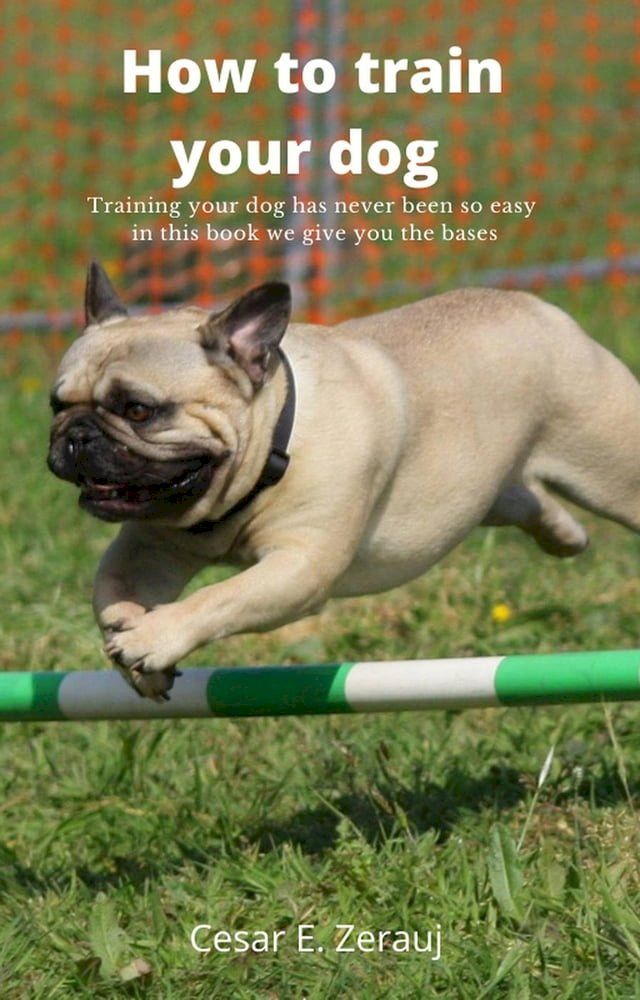  How to train your dog Training your dog has never been so easy in this book we give you the bases(Kobo/電子書)