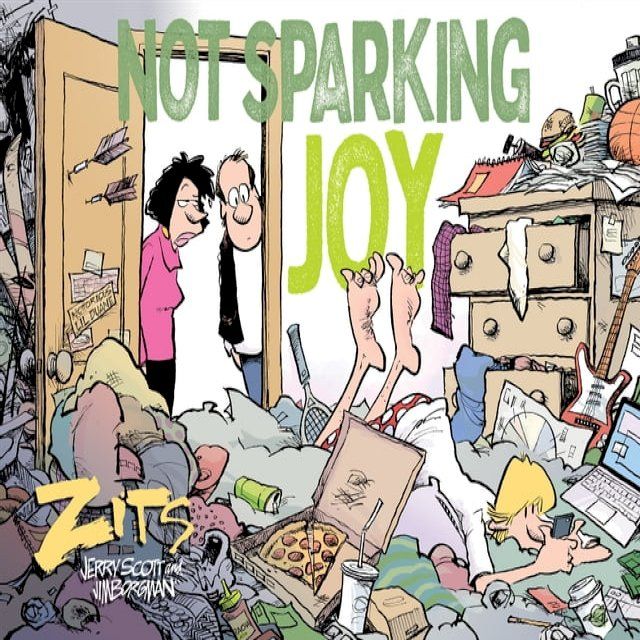  Not Sparking Joy(Kobo/電子書)