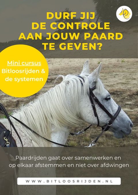 Bitloos rijden & de systemen