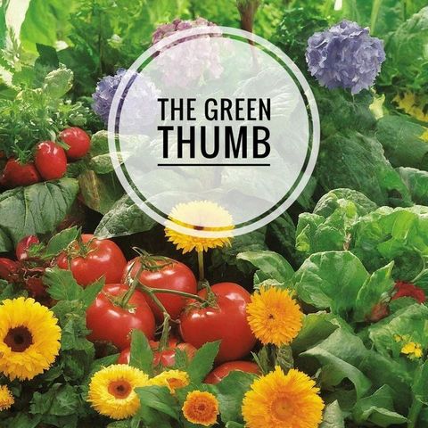 The Green Thumb Guide: A Beginner's Handbook to Gardening(Kobo/電子書)