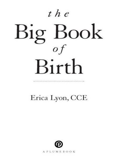 The Big Book of Birth(Kobo/電子書)