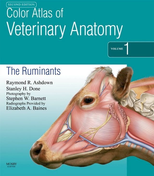  Color Atlas of Veterinary Anatomy, Volume 1, The Ruminants E-Book(Kobo/電子書)