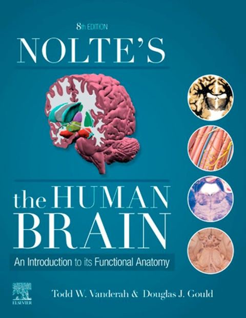 Nolte's The Human Brain(Kobo/電子書)