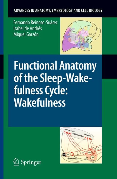 Functional Anatomy of the Sleep-Wakefulness Cycle: Wakefulness(Kobo/電子書)