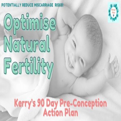 Optimise Natural Conception -Kerry's 90 Day Pre-Conception Action Plan(Kobo/電子書)