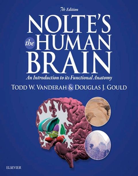 Nolte’s The Human Brain E-Book(Kobo/電子書)