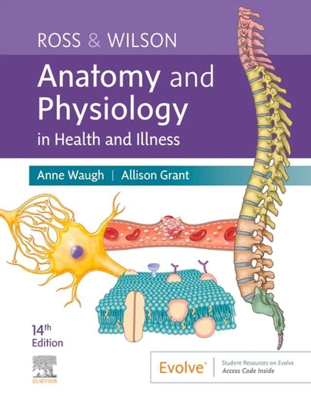  Ross & Wilson Anatomy and Physiology in Health and Illness - E-Book(Kobo/電子書)