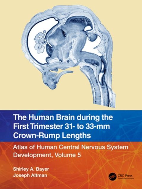 The Human Brain during the First Trimester 31- to 33-mm Crown-Rump Lengths(Kobo/電子書)