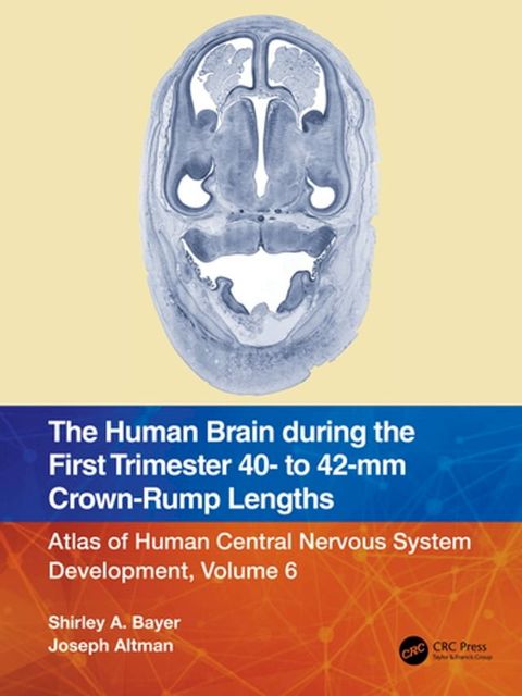 The Human Brain during the First Trimester 40- to 42-mm Crown-Rump Lengths(Kobo/電子書)