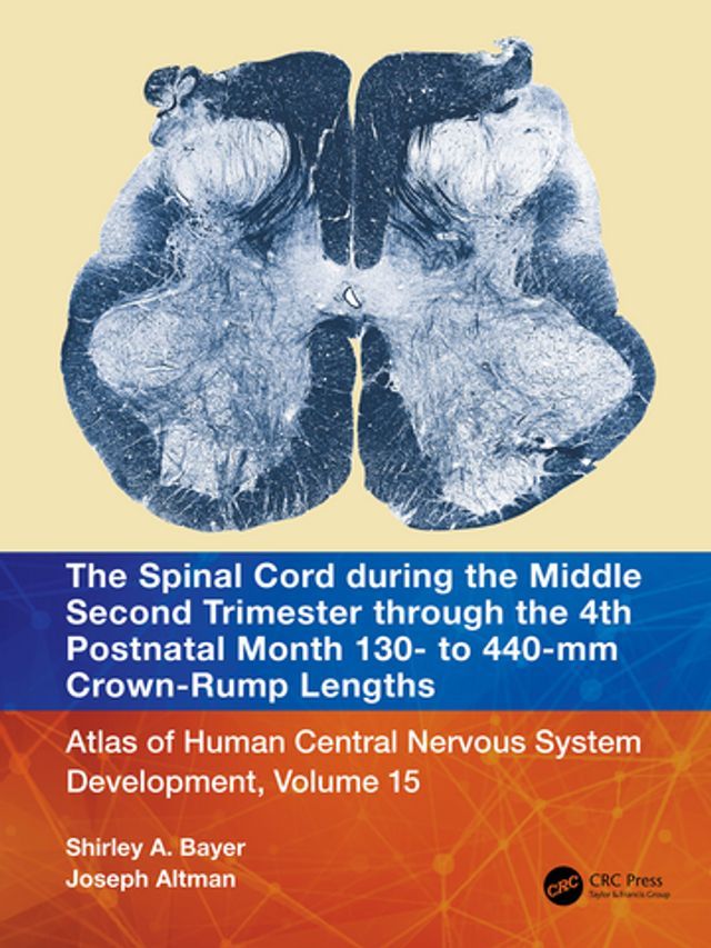  The Spinal Cord during the Middle Second Trimester through the 4th Postnatal Month 130- to 440-mm Crown-Rump Lengths(Kobo/電子書)