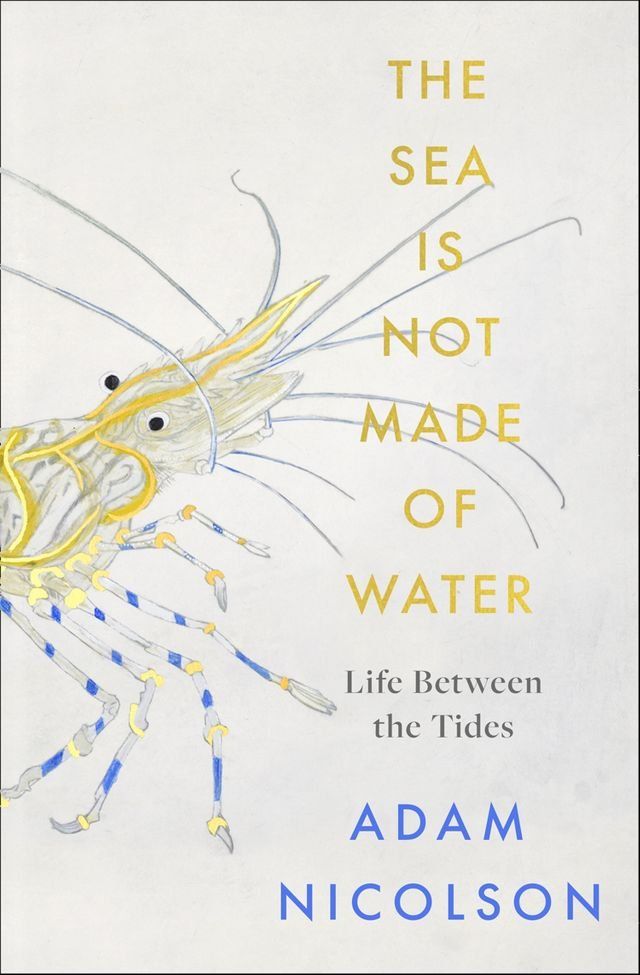  Life Between the Tides: In Search of Rockpools and Other Adventures Along the Shore(Kobo/電子書)